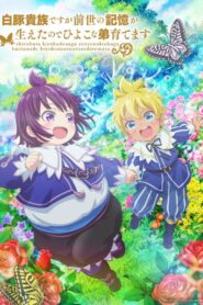 SHIROHIYO – Reincarnated as a Neglected Noble: Raising My Baby Brother with Memories from My Past Life: Season 1